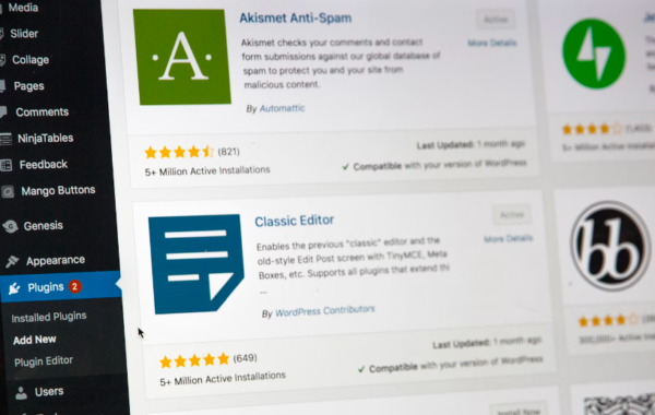 seo-for-wordpress
